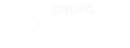 Grupo Seire Logo B